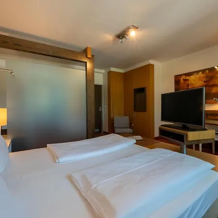 酒店 An Der Gruga 埃森